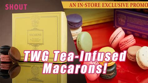 tw macarong95|3/20僅此一天！TWG Tea茶香馬卡龍「買一送一」 全台精品門市 .